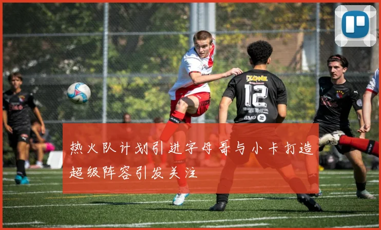 热火队计划引进字母哥与小卡打造超级阵容引发关注