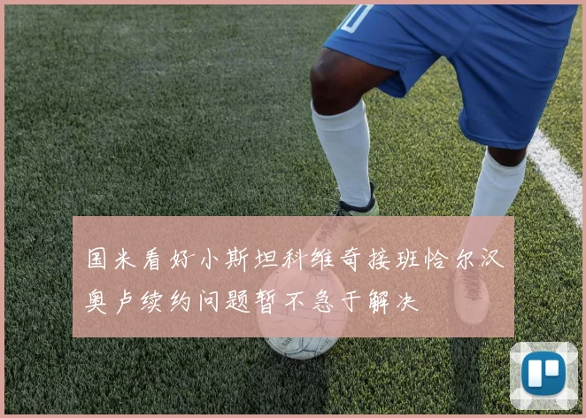 国米看好小斯坦科维奇接班恰尔汉奥卢续约问题暂不急于解决